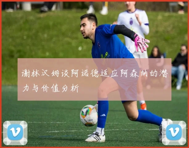 谢林汉姆谈阿诺德适应阿森纳的潜力与价值分析