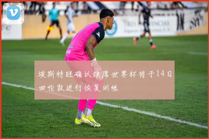 埃斯特旺确认缺席世界杯将于14日回伦敦进行恢复训练