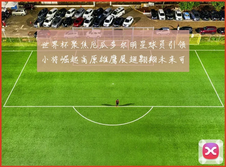 世界杯聚焦厄瓜多尔明星球员引领小将崛起高原雄鹰展翅翱翔未来可期